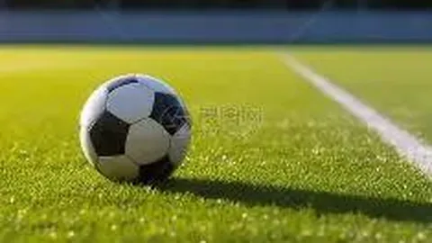 星耀娱乐 资讯 094011 za2